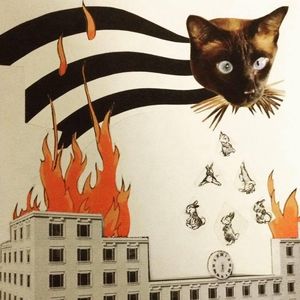 Meet your Posher, Benjamin